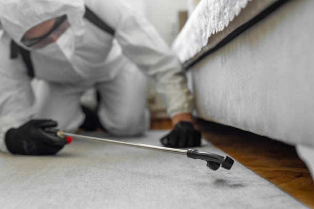 Professional Termite Control technician working in Scotia, NY